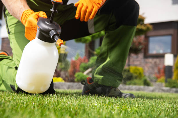 Best Pest Inspection Near Me  in Yates Center, KS