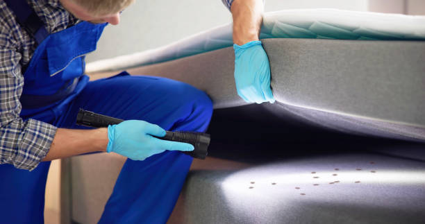 Best Wasp Removal Services  in Yates Center, KS