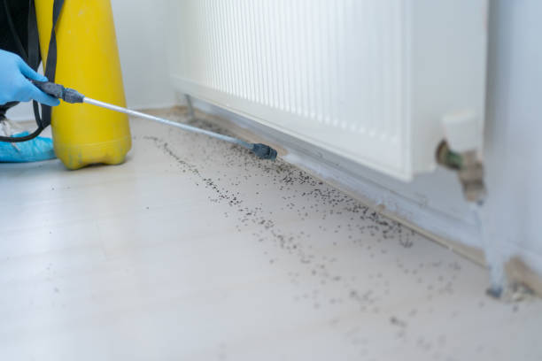 Best Best Pest Control Companies  in Yates Center, KS